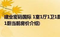 建业密码国际 1室1厅1卫1厨(关于建业密码国际 1室1厅1卫1厨当前房价介绍)