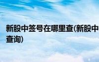 新股中签号在哪里查(新股中签号查询怎么查新股中签号怎么查询)