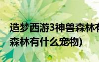 造梦西游3神兽森林有什么用(造梦西游3神兽森林有什么宠物)