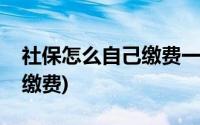 社保怎么自己缴费一年多少钱(社保怎么自己缴费)