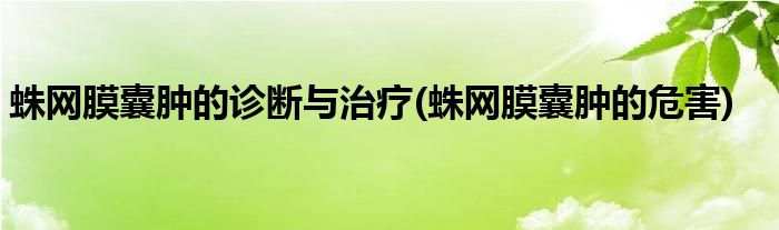 蛛网膜囊肿的诊断与治疗 蛛网膜囊肿的危害