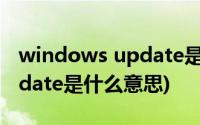 windows update是什么程序(windows update是什么意思)