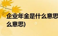 企业年金是什么意思照理说事(企业年金是什么意思)