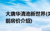 大唐华清池新世界(关于大唐华清池新世界当前房价介绍)