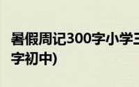 暑假周记300字小学三年级作文(暑假周记300字初中)