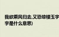 我欲乘风归去,又恐琼楼玉宇意思(我欲乘风归去 又恐琼楼玉宇是什么意思)