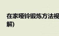 在家哑铃锻炼方法视频(在家哑铃锻炼方法图解)