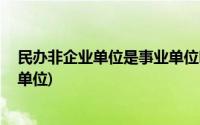 民办非企业单位是事业单位吗(什么叫民办非企业单位 事业单位)