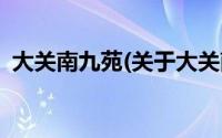 大关南九苑(关于大关南九苑当前房价介绍)