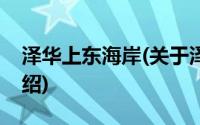 泽华上东海岸(关于泽华上东海岸当前房价介绍)