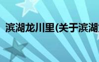 滨湖龙川里(关于滨湖龙川里当前房价介绍)