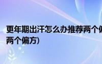 更年期出汗怎么办推荐两个偏方调理(更年期出汗怎么办推荐两个偏方)