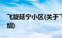 飞旋延宁小区(关于飞旋延宁小区当前房价介绍)