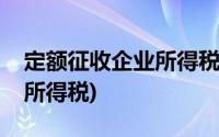 定额征收企业所得税表怎么填(定额征收企业所得税)