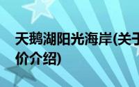 天鹅湖阳光海岸(关于天鹅湖阳光海岸当前房价介绍)