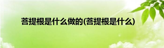 菩提根是什么做的 菩提根是什么