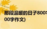 那段温暖的日子800字初三(那段温暖的日子800字作文)