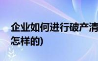 企业如何进行破产清算(企业破产清算程序是怎样的)