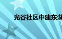 光谷社区中建东湖锦城(光谷社区网)