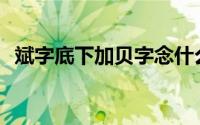 斌字底下加贝字念什么(斌加贝字底念什么)