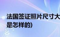 法国签证照片尺寸大小(意大利签证照片尺寸是怎样的)