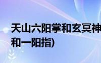 天山六阳掌和玄冥神掌哪个厉害(天山六阳掌和一阳指)