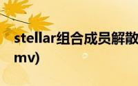 stellar组合成员解散后现状(stellar组合禁播mv)