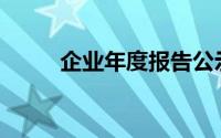 企业年度报告公示(企业年度报告)