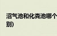 沼气池和化粪池哪个好(沼气池和化粪池的区别)