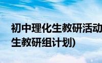 初中理化生教研活动期末复习记录(初中理化生教研组计划)