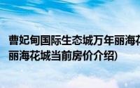 曹妃甸国际生态城万年丽海花城(关于曹妃甸国际生态城万年丽海花城当前房价介绍)