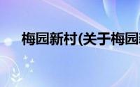 梅园新村(关于梅园新村当前房价介绍)