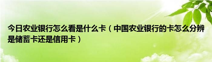 今日农业银行怎么看是什么卡（中国农业银行的卡怎么分辨是储蓄卡还是信用卡）