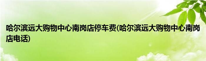 哈尔滨远大购物中心南岗店停车费 哈尔滨远大购物中心南岗店电话