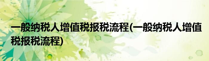 一般纳税人增值税报税流程 一般纳税人增值税报税流程