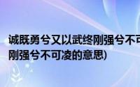 诚既勇兮又以武终刚强兮不可凌什么意思(诚既勇兮又以武终刚强兮不可凌的意思)