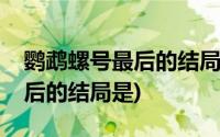 鹦鹉螺号最后的结局是卷入漩涡(鹦鹉螺号最后的结局是)