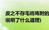 皮之不存毛将焉附的道理(皮之不存毛将焉附说明了什么道理)