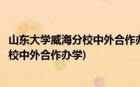 山东大学威海分校中外合作办学录取分数线(山东大学威海分校中外合作办学)