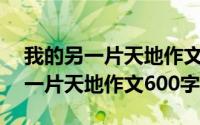 我的另一片天地作文600字关于看书(我的另一片天地作文600字)