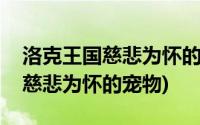 洛克王国慈悲为怀的宠物在哪获得(洛克王国慈悲为怀的宠物)