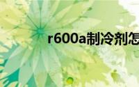 r600a制冷剂怎么加注(r600a)