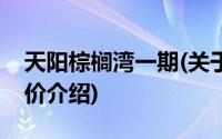 天阳棕榈湾一期(关于天阳棕榈湾一期当前房价介绍)