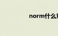 norm什么意思(norm)