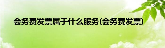 会务费发票属于什么服务 会务费发票