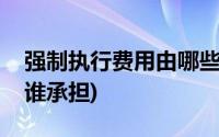 强制执行费用由哪些人承担(强制执行费用由谁承担)