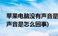 苹果电脑没有声音是什么原因(苹果电脑没有声音是怎么回事)