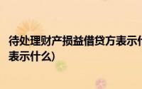 待处理财产损益借贷方表示什么意思(待处理财产损益借贷方表示什么)