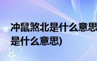 冲鼠煞北是什么意思对属鼠的好吗(冲鼠煞北是什么意思)