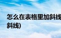 怎么在表格里加斜线并打字(怎么在表格里加斜线)